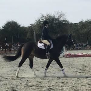 Meet your Posher, Misty